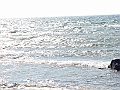 Western Michigan [2010] 887